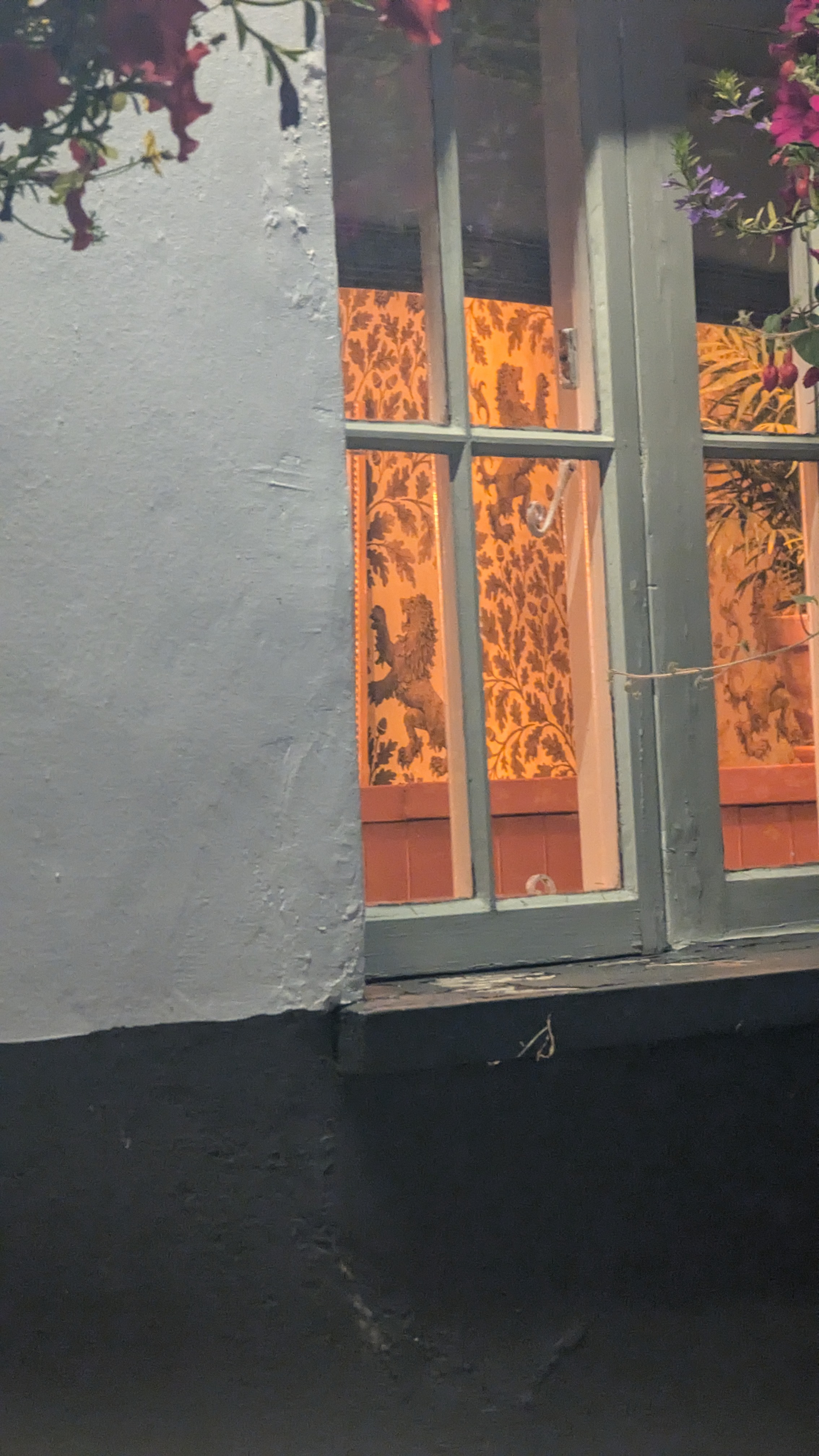 PXL_20240722_205338842.RAW-01.MP.COVER.jpg