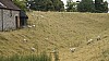 _DSC4477.JPG _DSC4477.JPG
