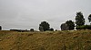 _DSC4478.JPG _DSC4478.JPG