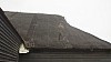 _DSC4486.JPG _DSC4486.JPG