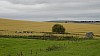_DSC4547.JPG _DSC4547.JPG