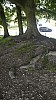 _DSC4548.JPG _DSC4548.JPG