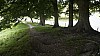 _DSC4549.JPG _DSC4549.JPG