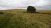 _DSC4551.JPG _DSC4551.JPG