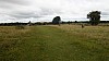 _DSC4556.JPG _DSC4556.JPG