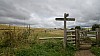 _DSC4559.JPG _DSC4559.JPG