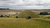 _DSC4560.JPG _DSC4560.JPG