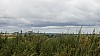 _DSC4561.JPG _DSC4561.JPG