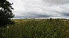 _DSC4570.JPG _DSC4570.JPG