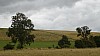 _DSC4571.JPG _DSC4571.JPG