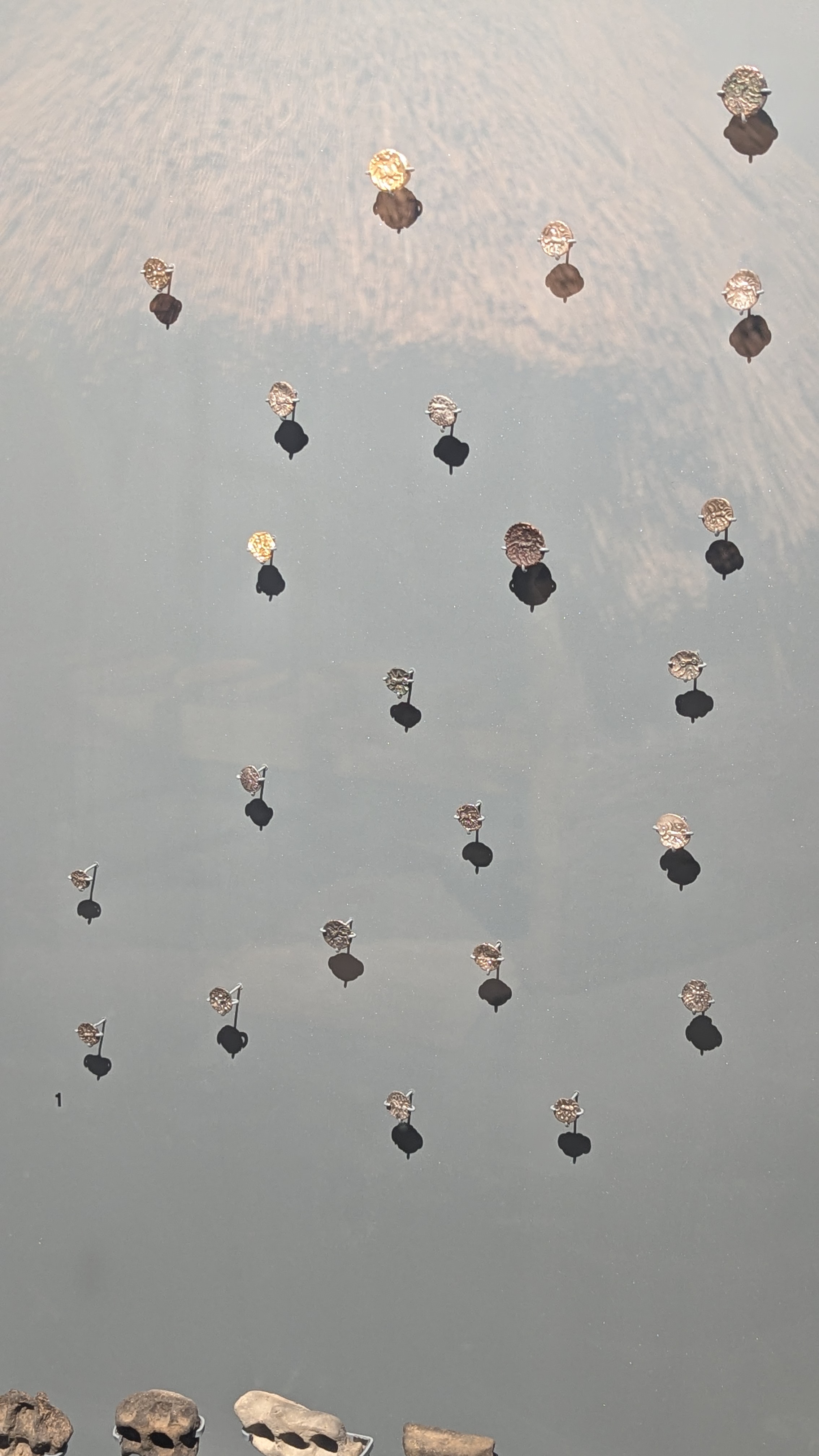 PXL_20240722_113517592.RAW-01.MP.COVER.jpg