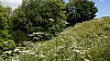 _DSC4413.JPG _DSC4413.JPG