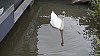 _DSC3880.JPG _DSC3880.JPG