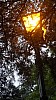 _DSC3960.JPG _DSC3960.JPG