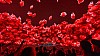 PXL_20240810_044824105.jpg PXL_20240810_044824105.jpg