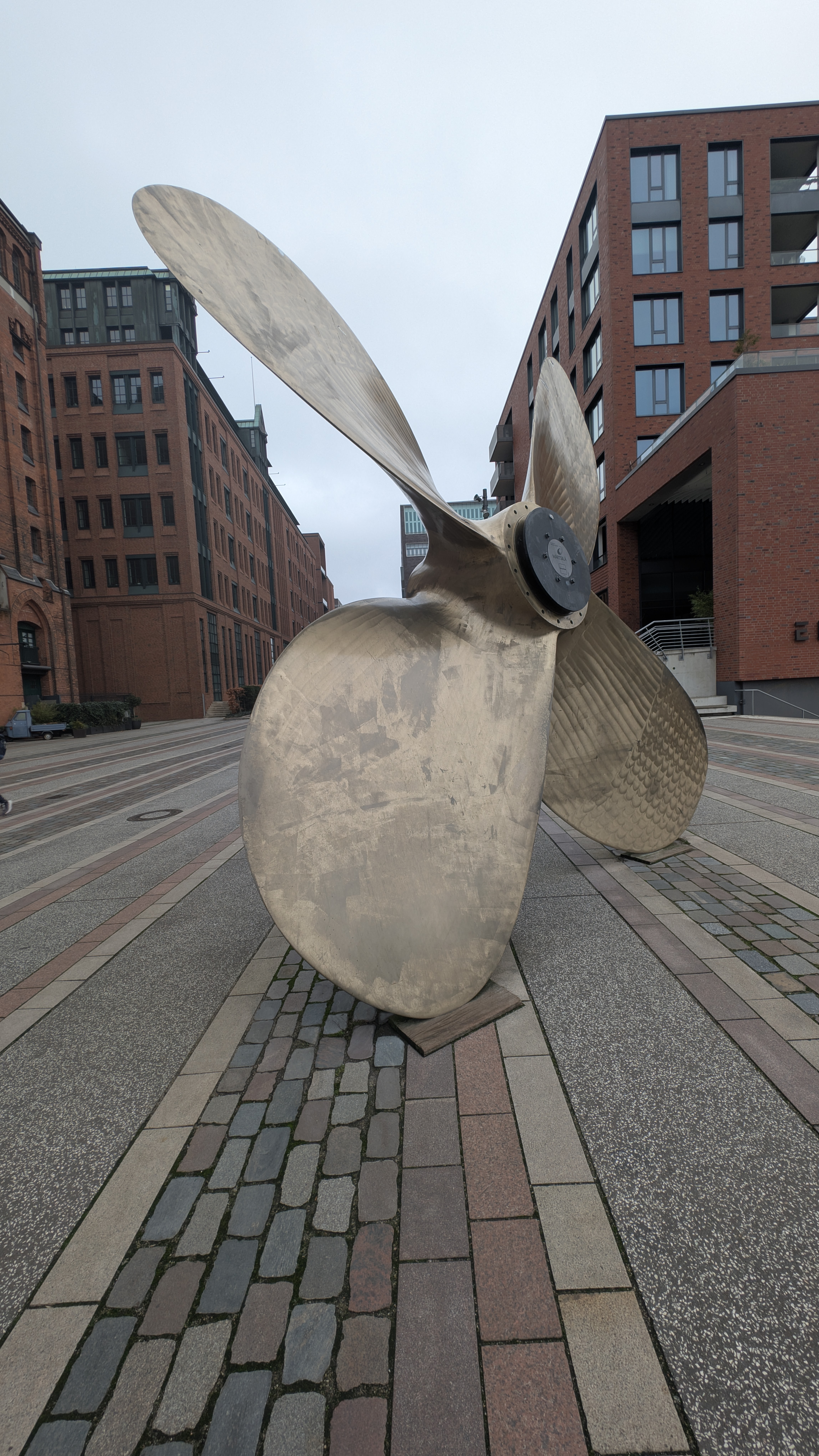 PXL_20241231_105106997.RAW-01.COVER.jpg