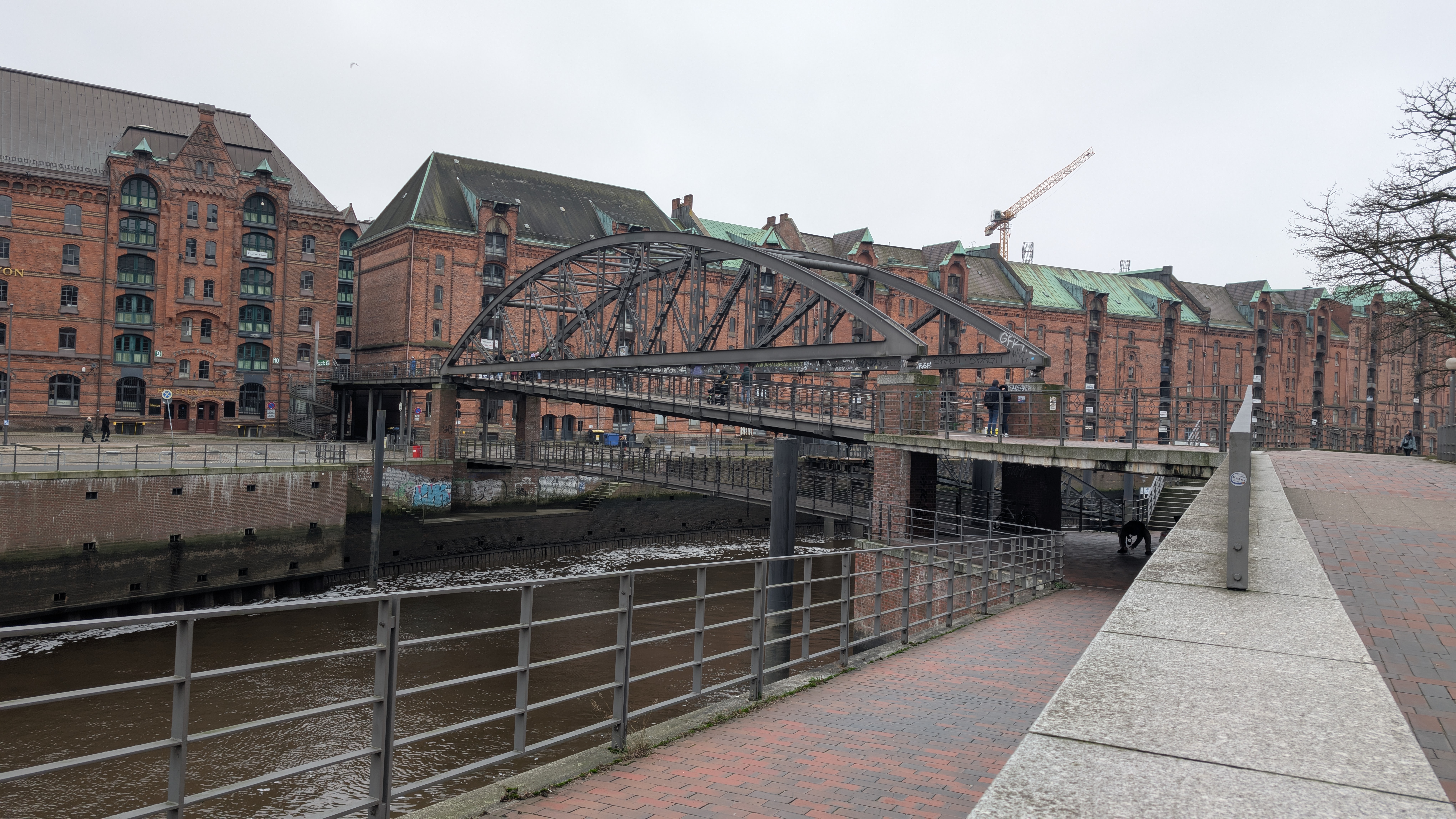 PXL_20241231_111637158.RAW-01.COVER.jpg