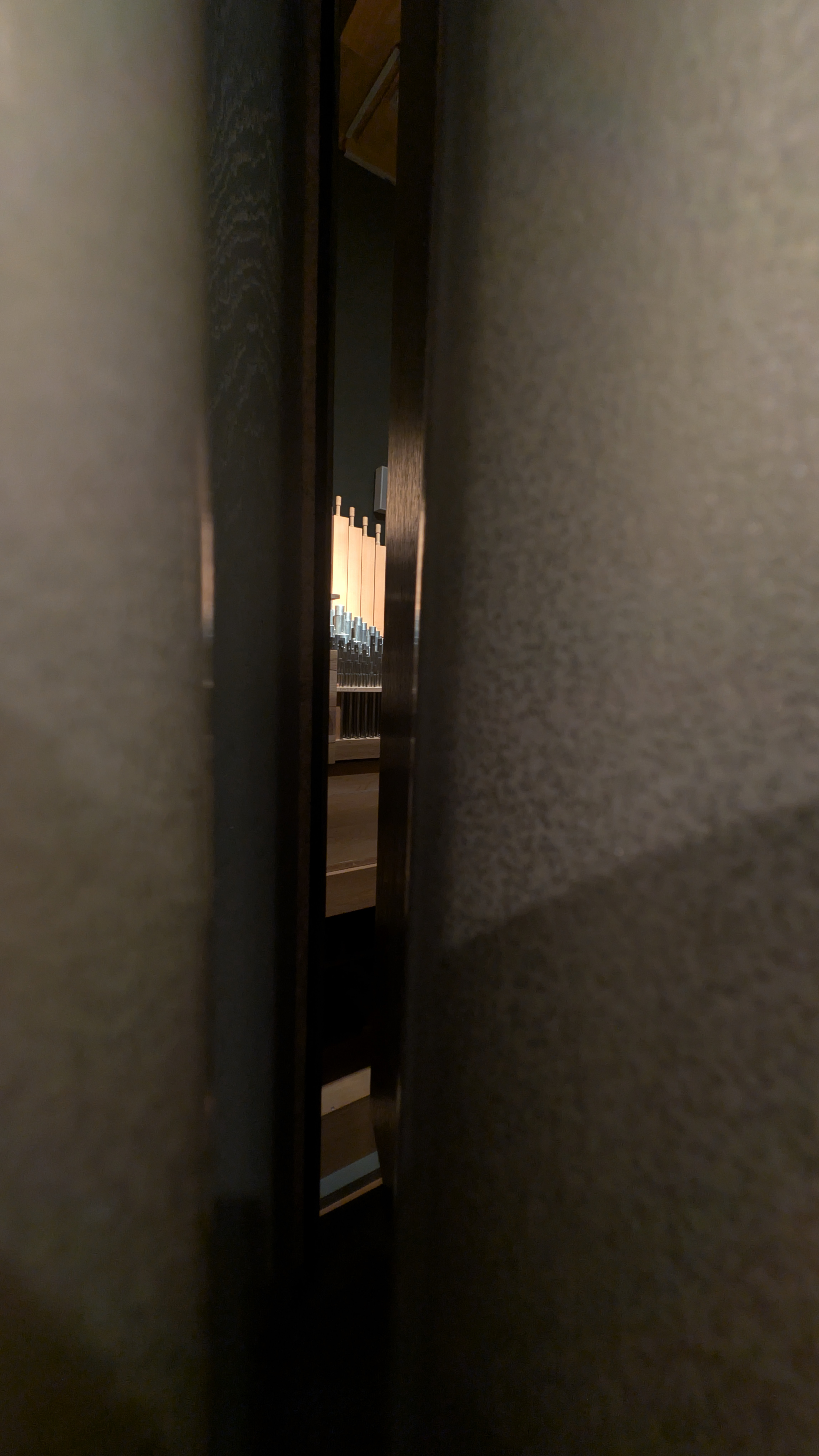 PXL_20241231_192739404.RAW-01.COVER.jpg