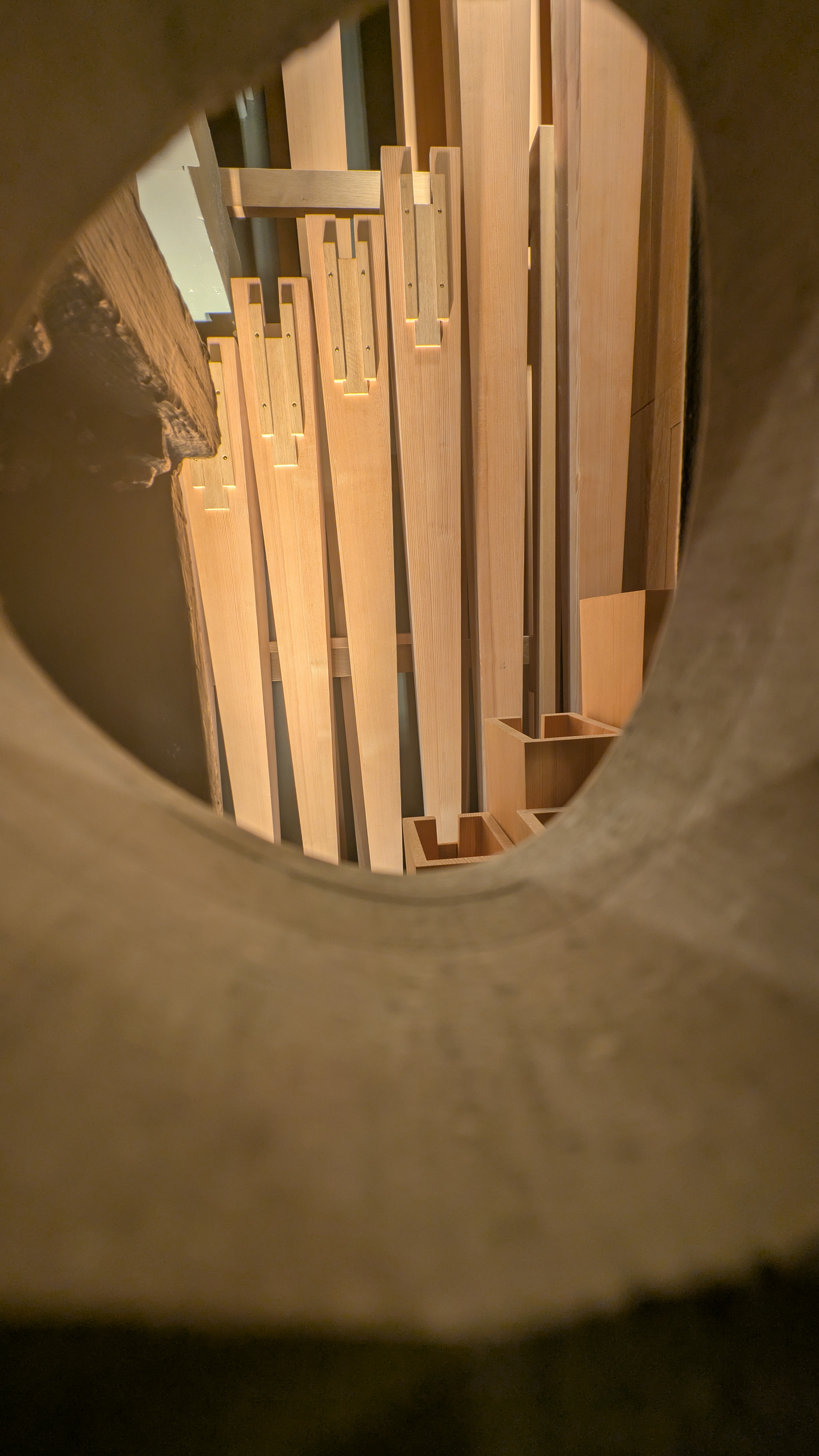 PXL_20241231_192810328.RAW-01.COVER.jpg