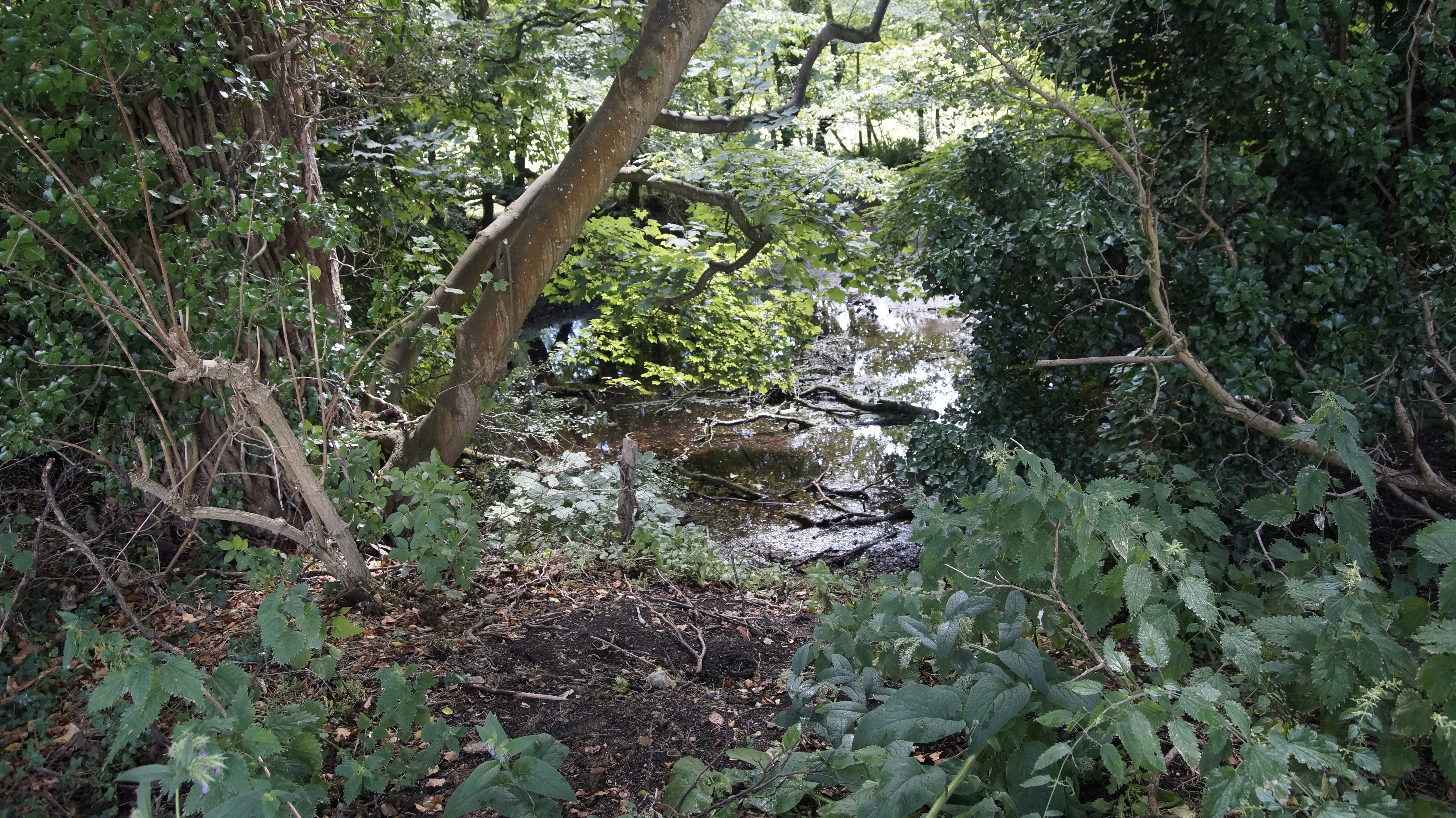 _DSC1829.JPG