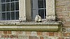 _DSC1777.JPG _DSC1777.JPG