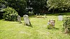 _DSC1780.JPG _DSC1780.JPG