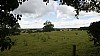 _DSC1809.JPG _DSC1809.JPG