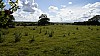 _DSC1864.JPG _DSC1864.JPG