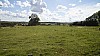 _DSC1865.JPG _DSC1865.JPG