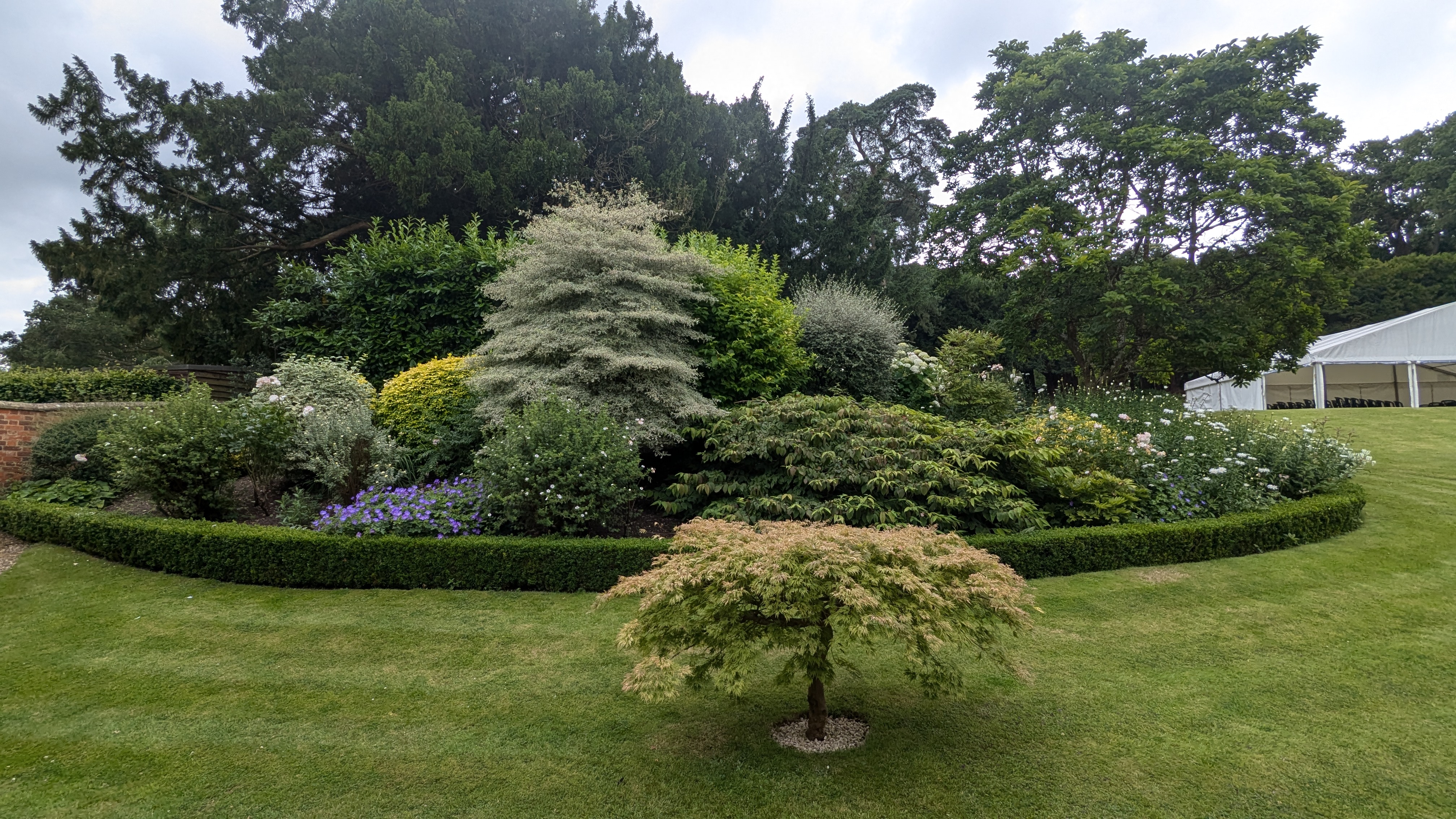 PXL_20240713_103724190.RAW-01.MP.COVER.jpg