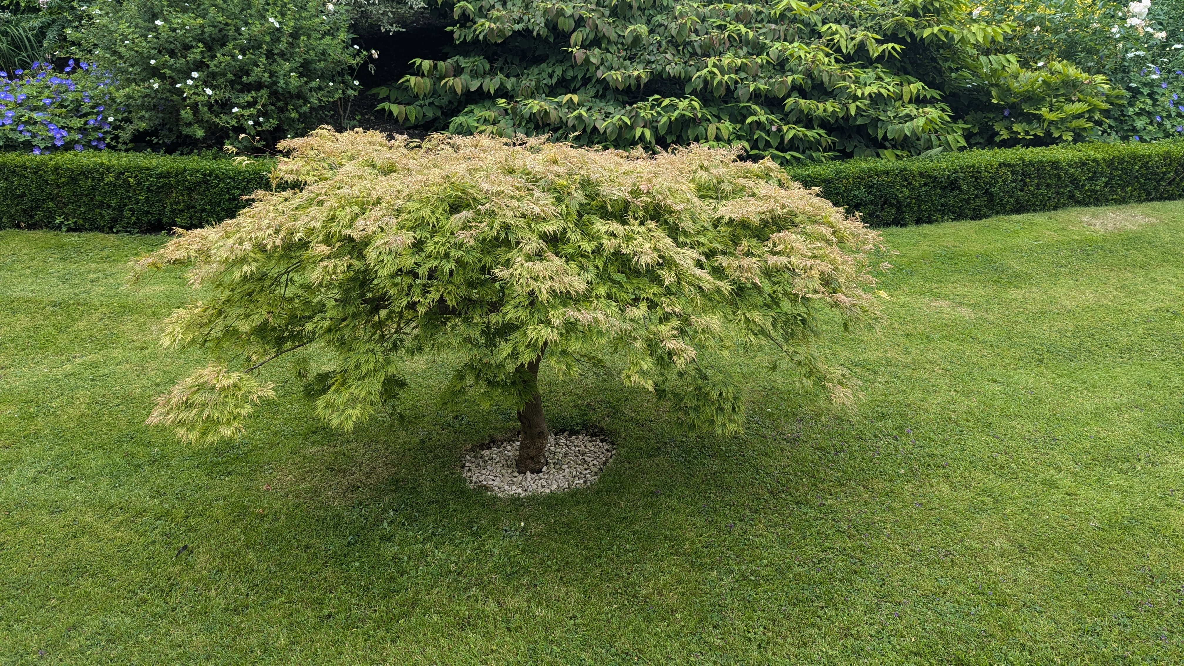 PXL_20240713_103746080.RAW-01.MP.COVER.jpg