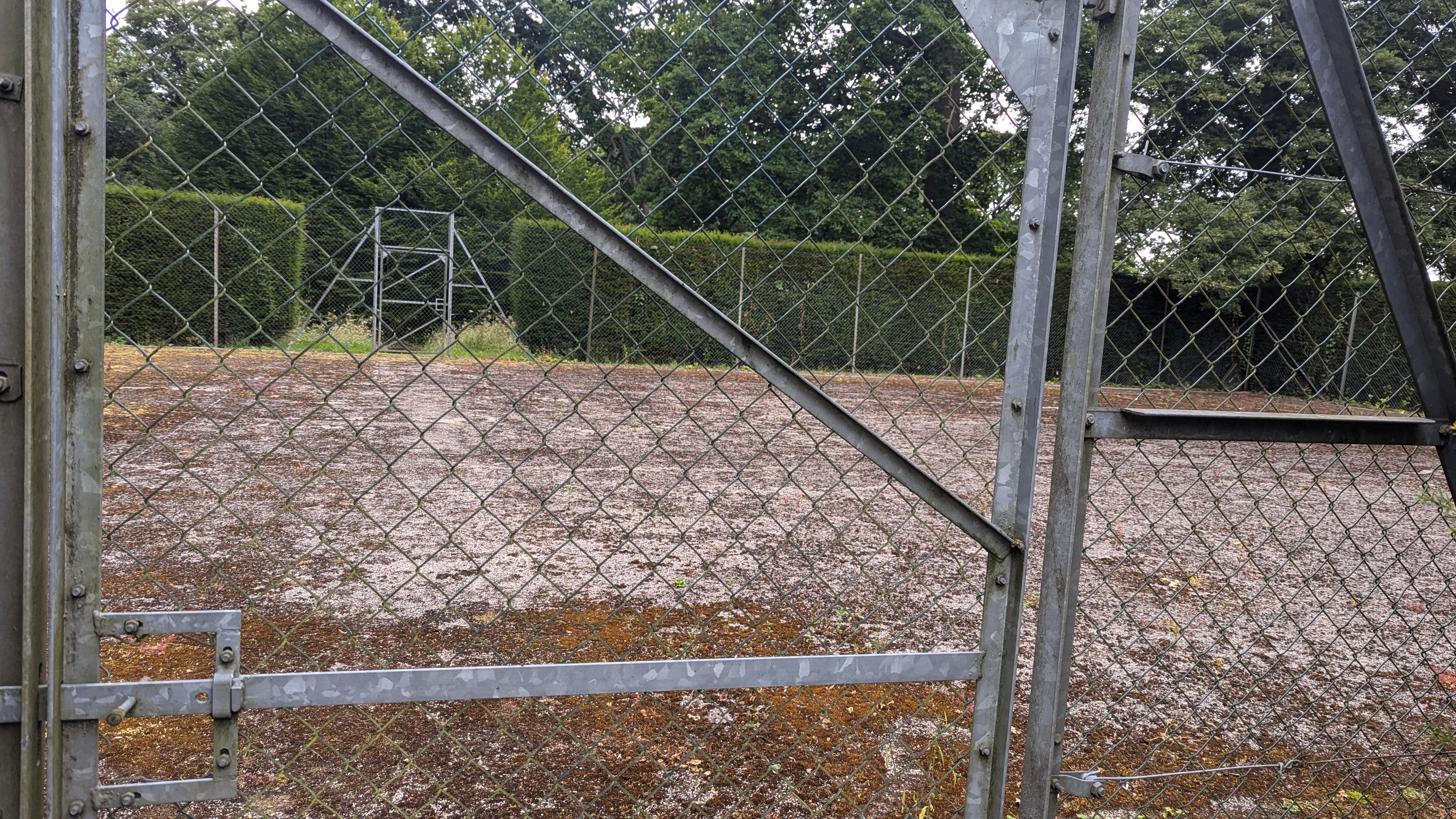PXL_20240713_104037902.RAW-01.MP.COVER.jpg