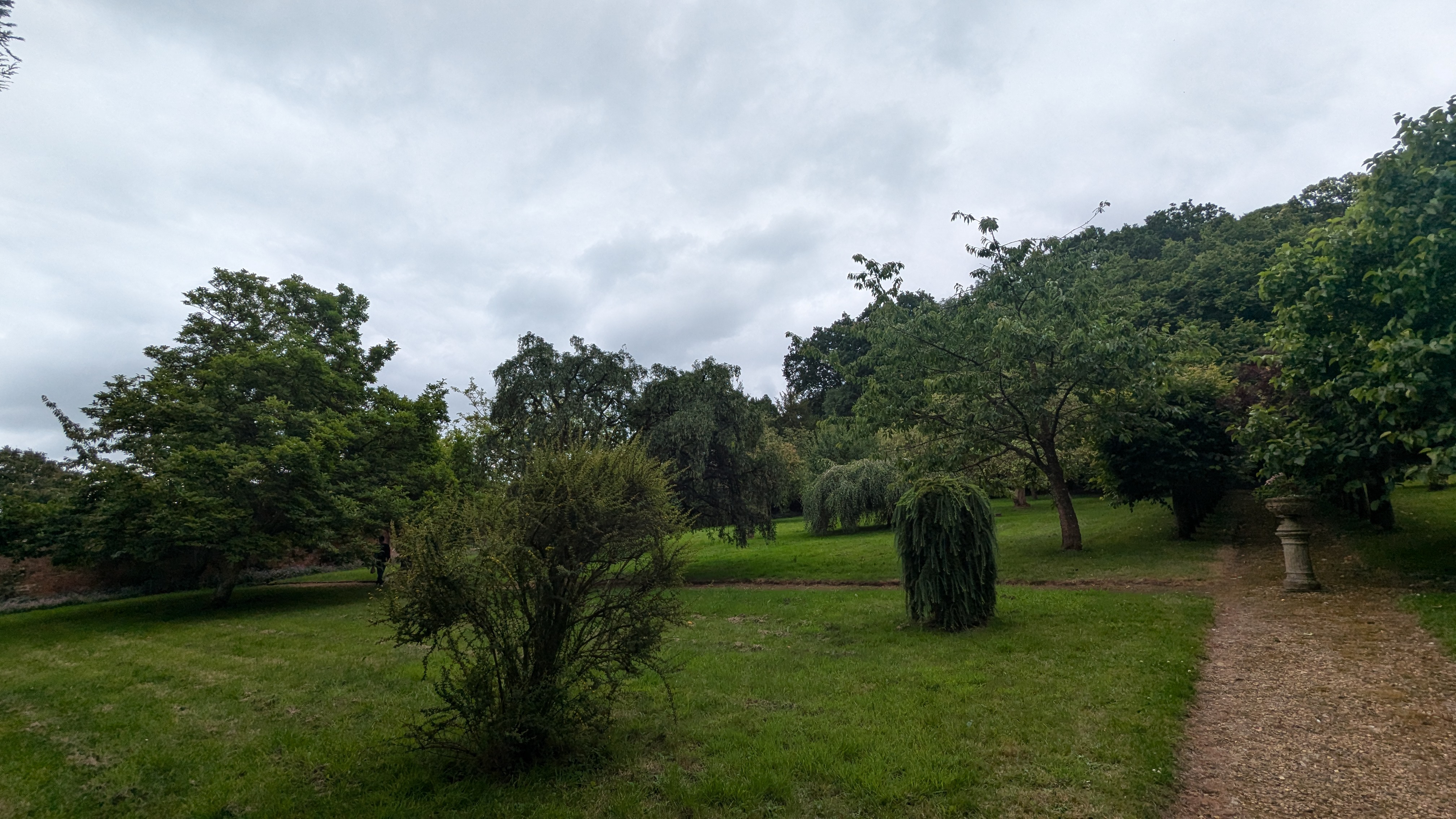 PXL_20240713_104637362.RAW-01.MP.COVER.jpg