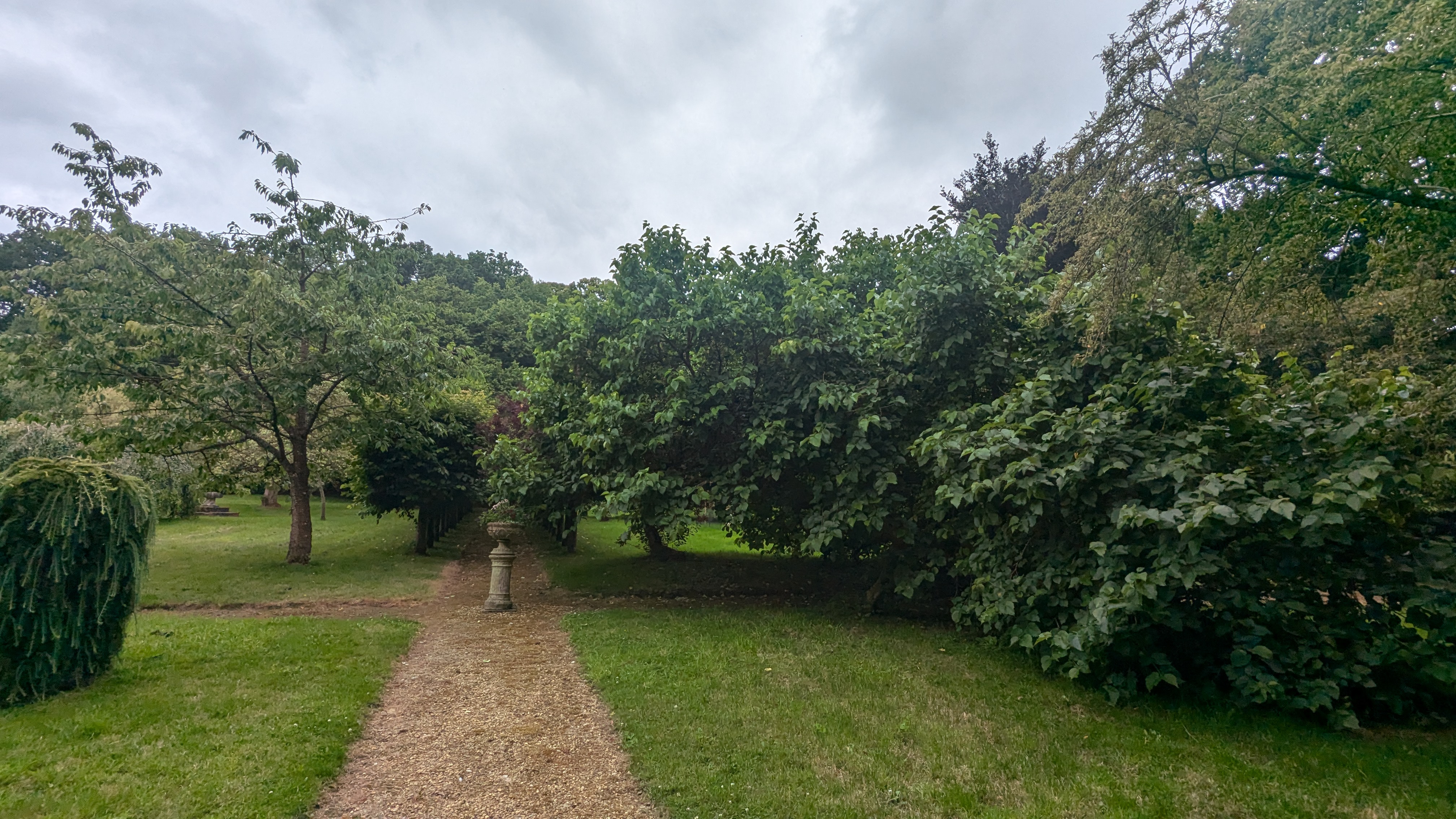 PXL_20240713_104641841.RAW-01.MP.COVER.jpg