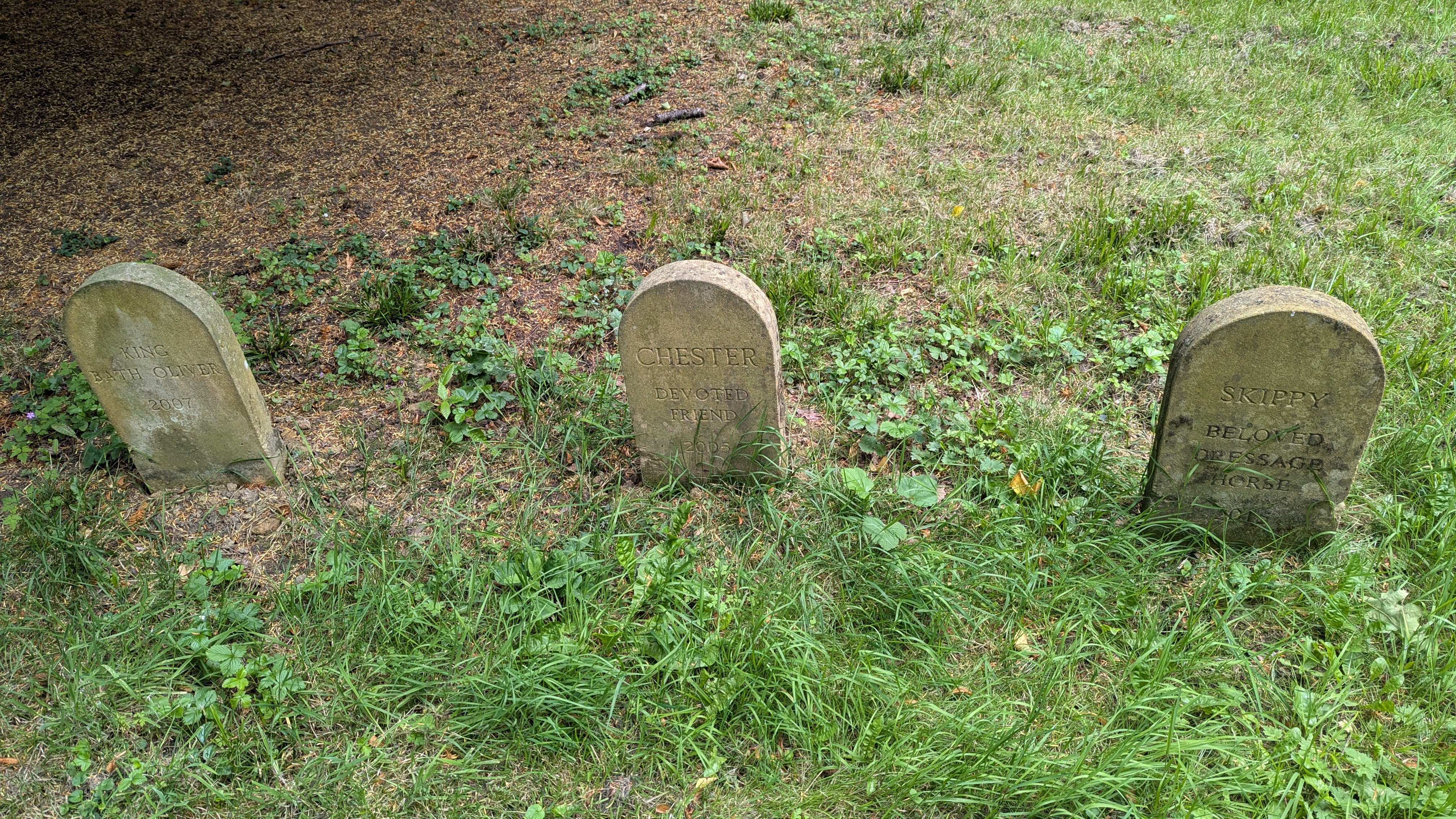 PXL_20240713_112315777.RAW-01.MP.COVER.jpg