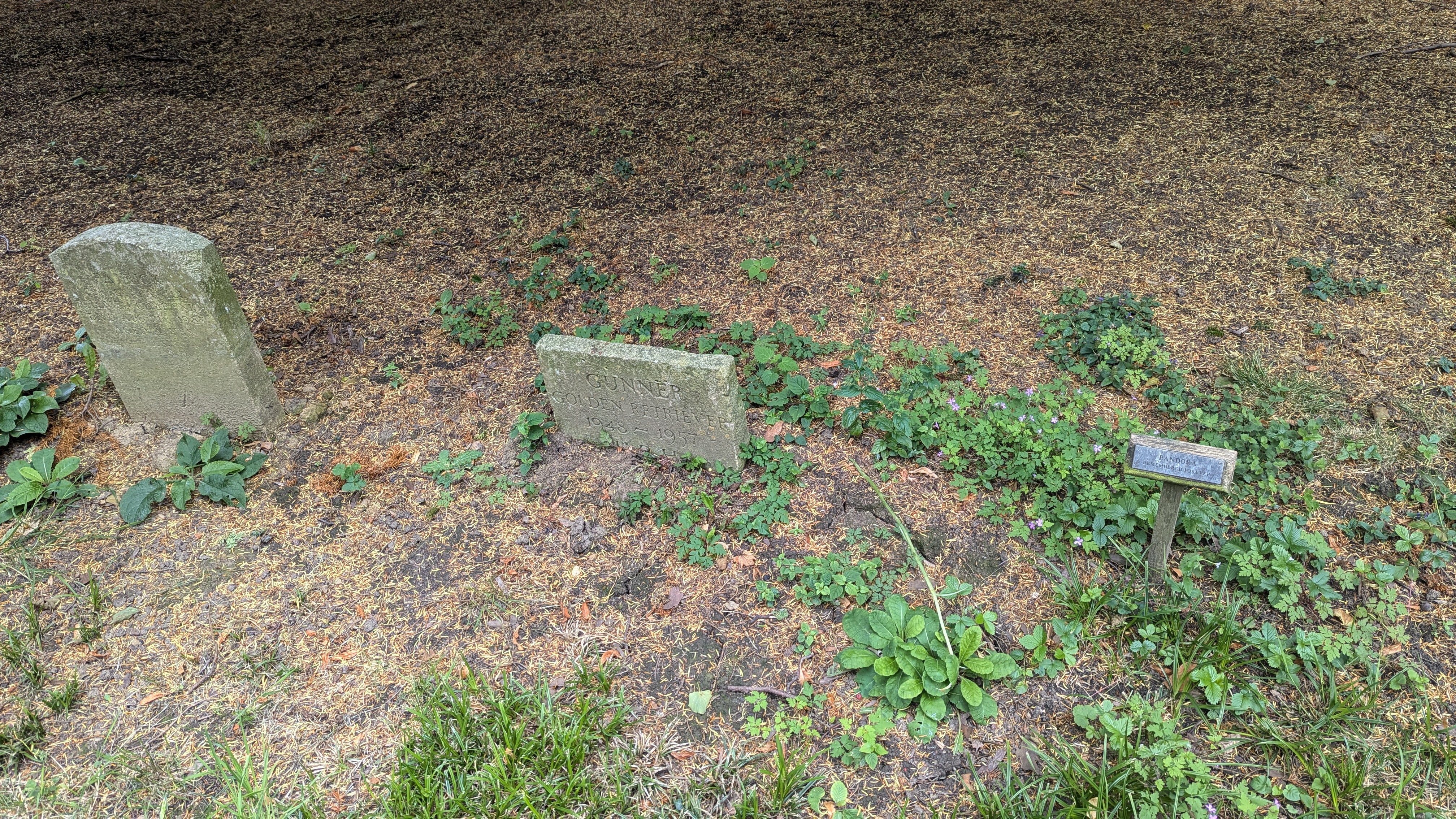 PXL_20240713_112328570.RAW-01.MP.COVER.jpg