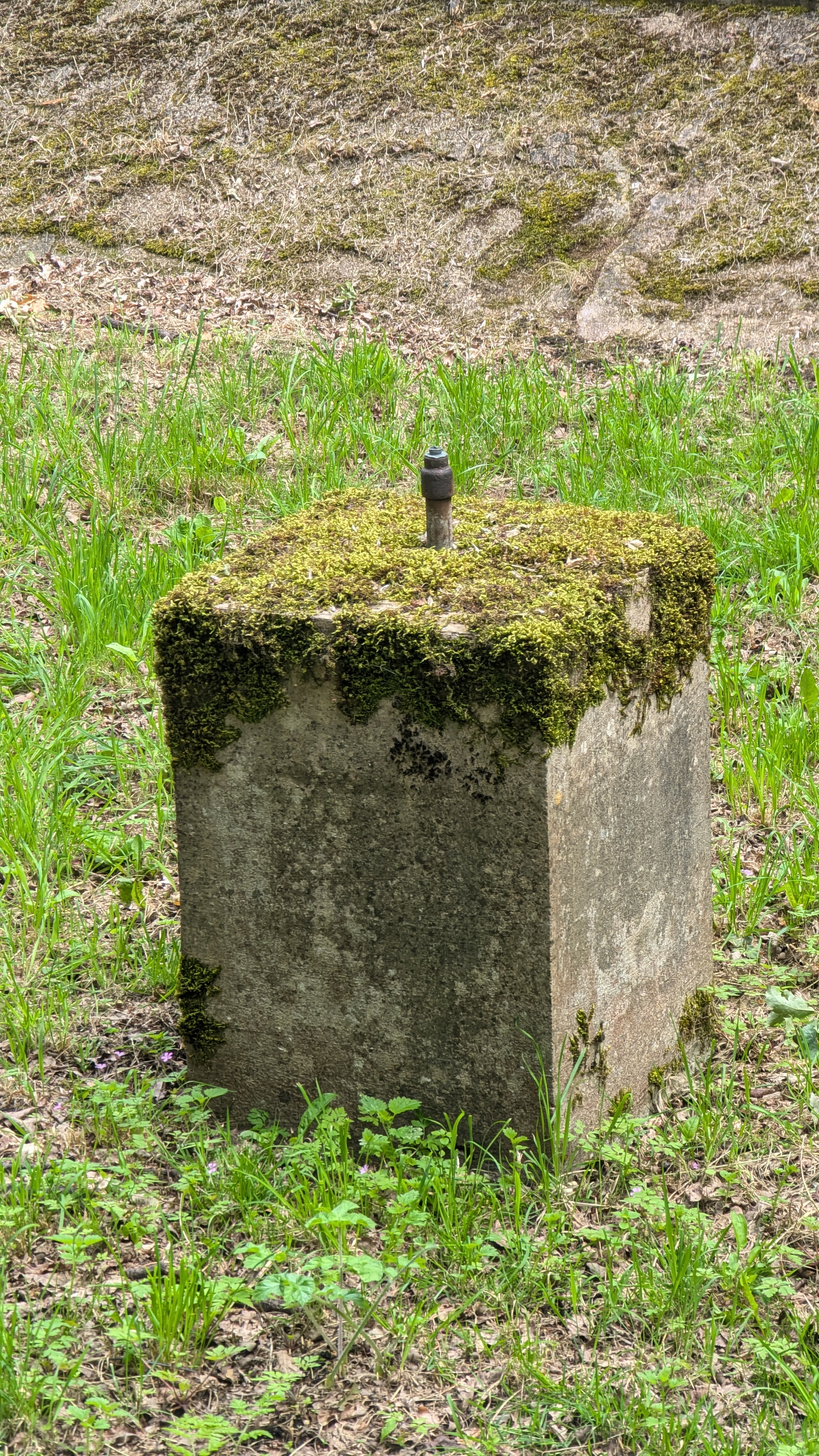 PXL_20240713_112808662.RAW-01.MP.COVER.jpg