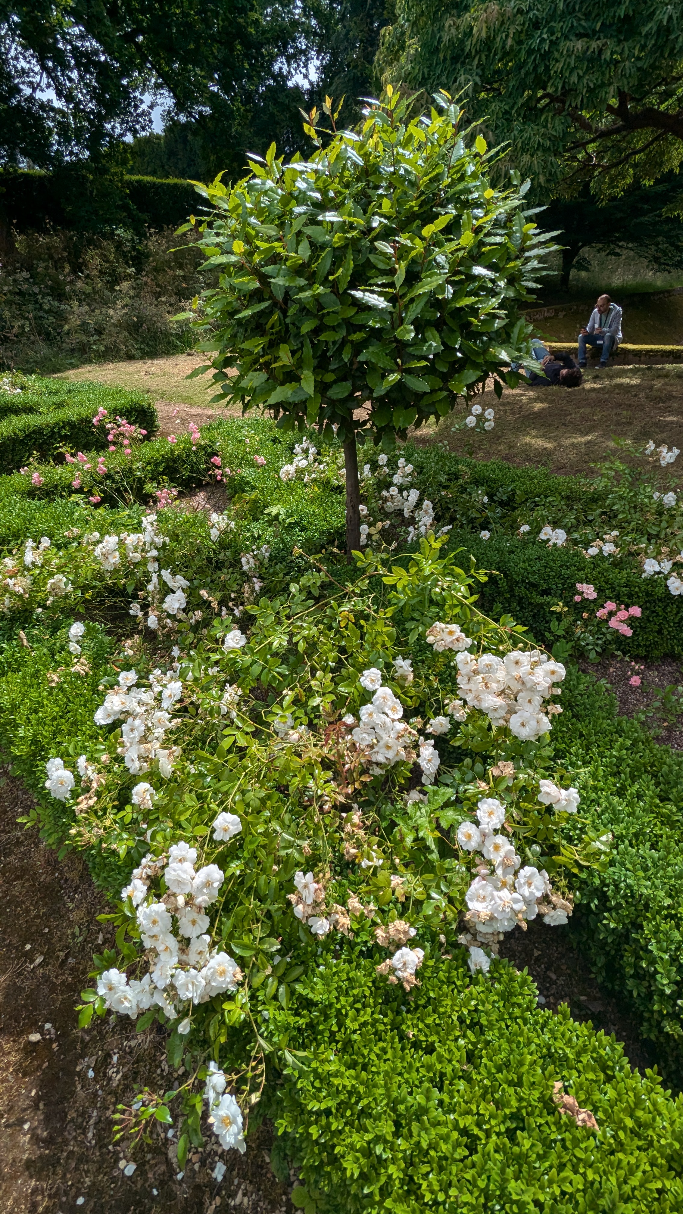 PXL_20240713_113016965.RAW-01.MP.COVER.jpg