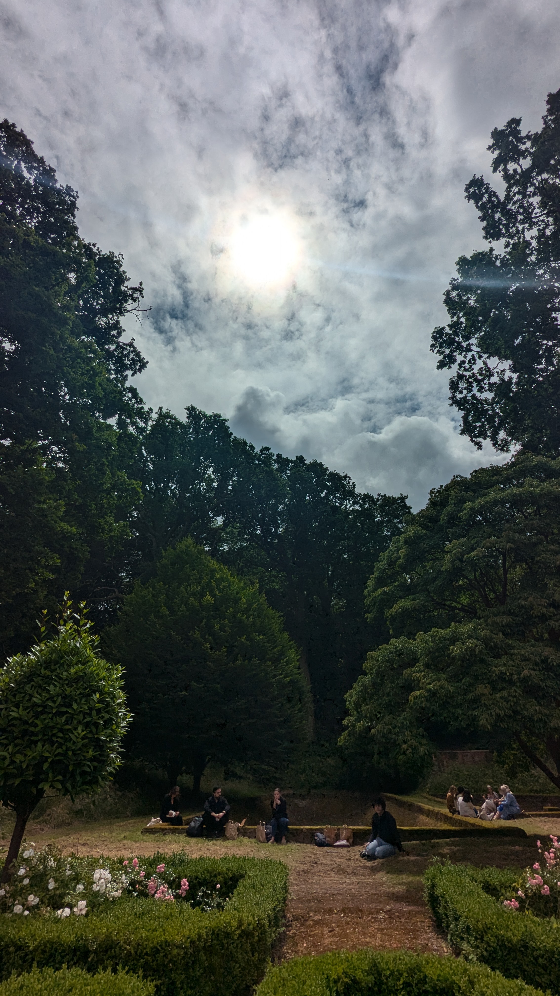 PXL_20240713_113245700.RAW-01.MP.COVER.jpg