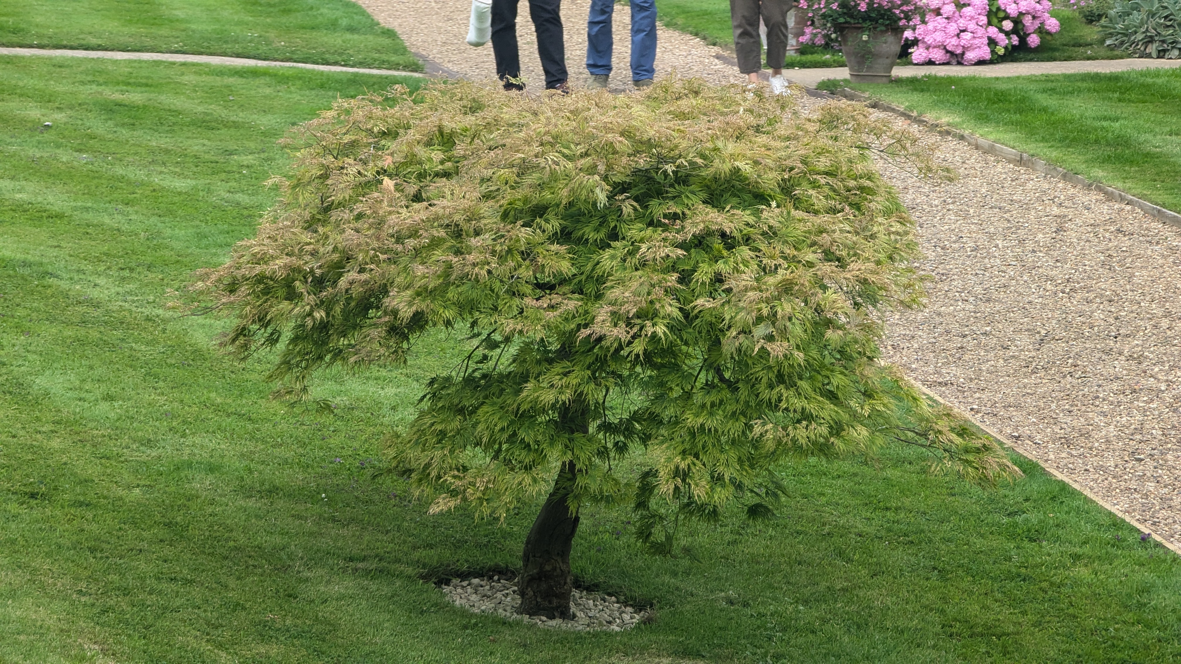 PXL_20240713_145006573.RAW-01.MP.COVER.jpg