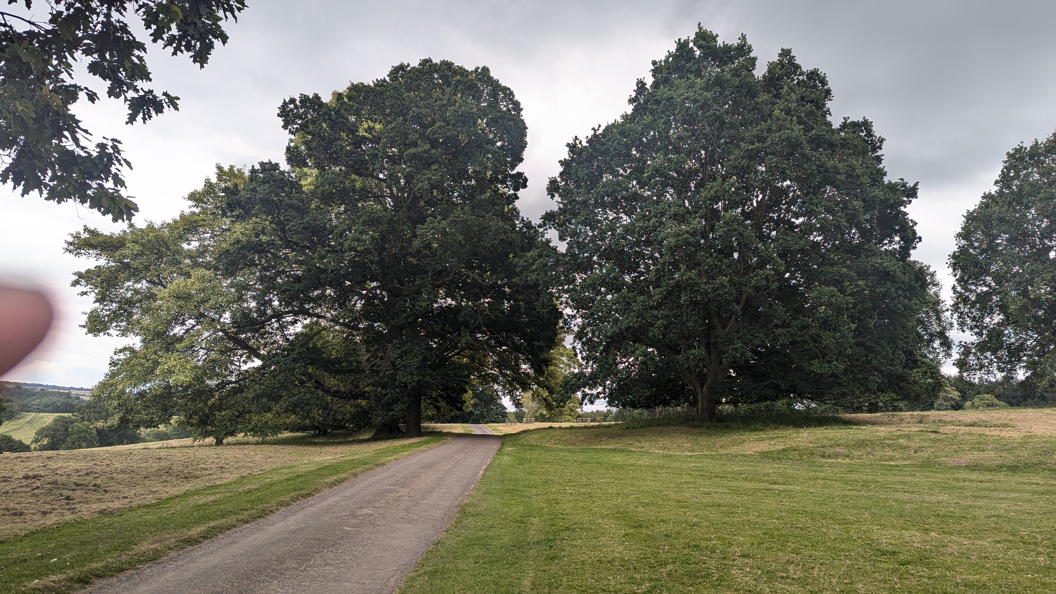 PXL_20240713_145508659.RAW-01.MP.COVER.jpg