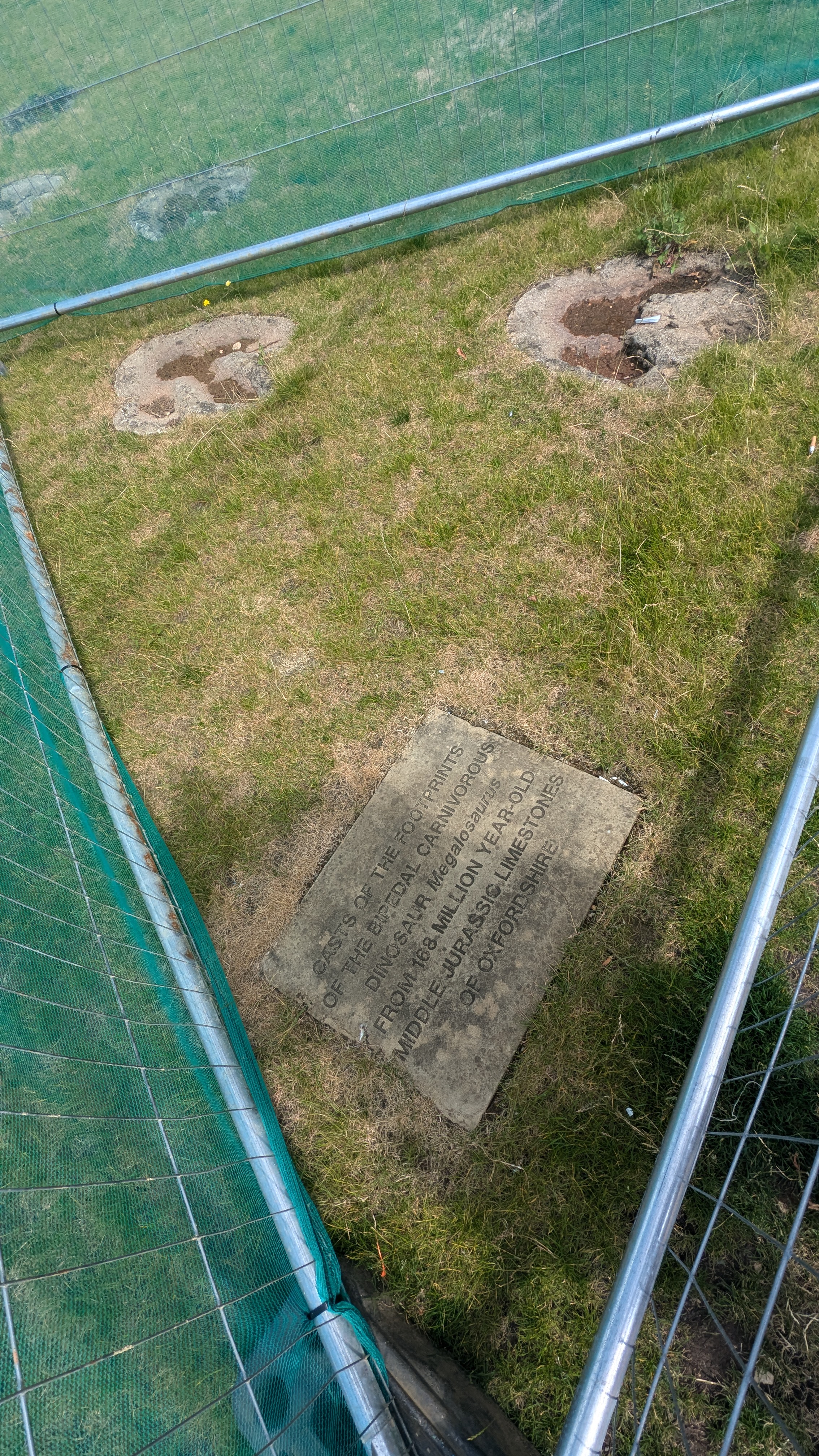 PXL_20240714_095150215.RAW-01.MP.COVER.jpg
