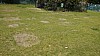 _DSC2500.JPG _DSC2500.JPG