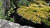 _DSC2578.JPG _DSC2578.JPG