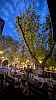 PXL_20250502_191253625.NIGHT.RAW-01.COVER.jpg PXL_20250502_191253625.NIGHT.RAW-01.COVER.jpg
