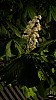 PXL_20250502_192238619.NIGHT.RAW-01.COVER.jpg PXL_20250502_192238619.NIGHT.RAW-01.COVER.jpg