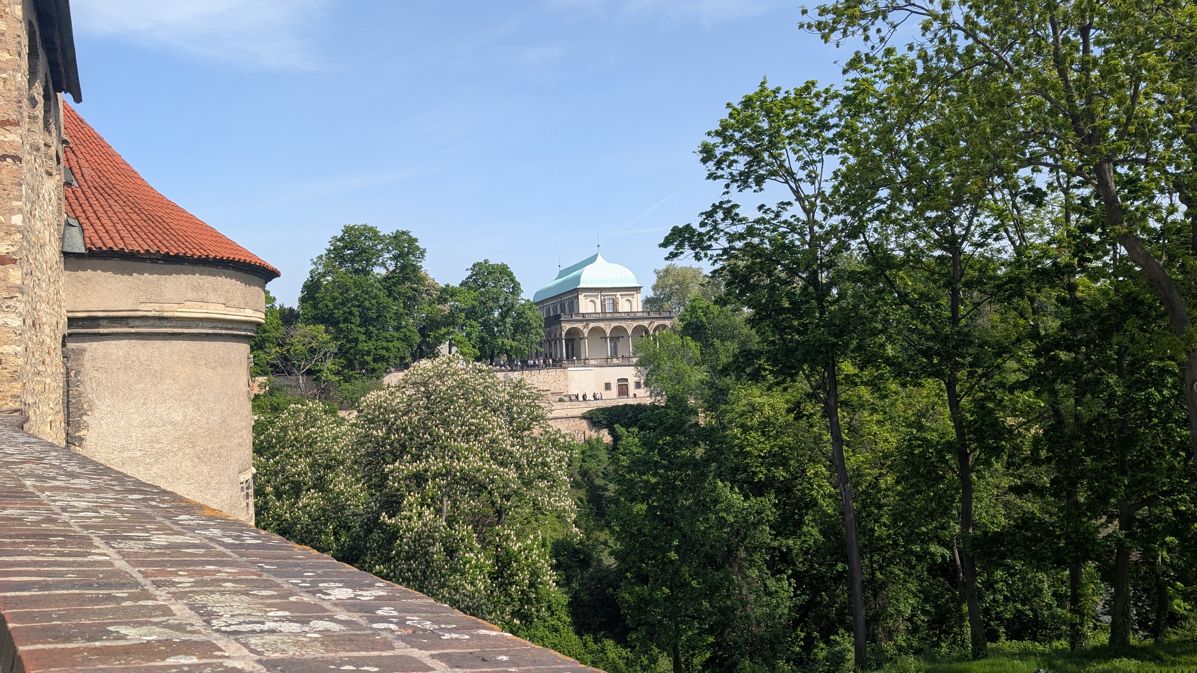PXL_20250503_083702737.RAW-01.MP.COVER.jpg