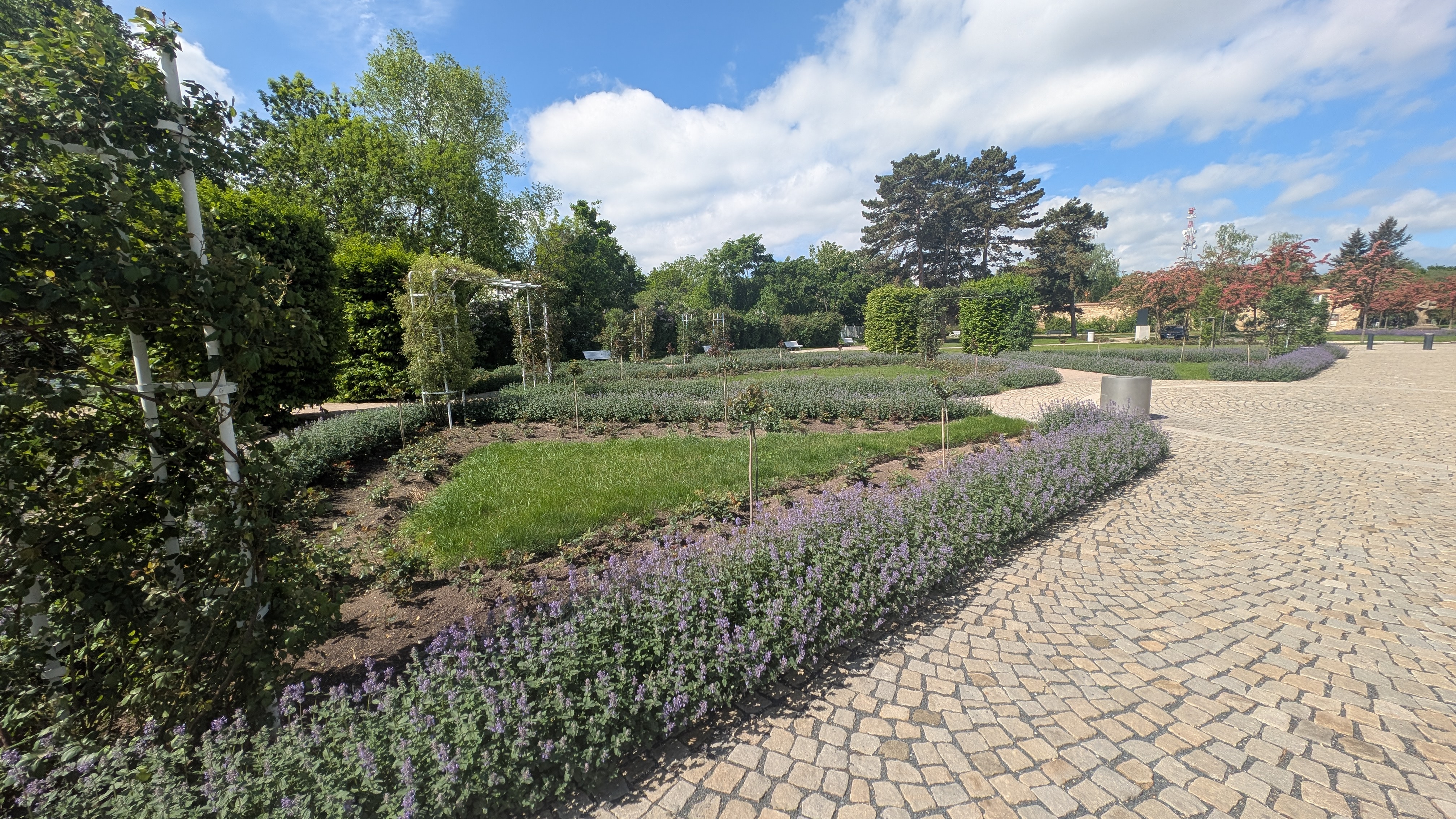 PXL_20250504_091253019.RAW-01.MP.COVER.jpg