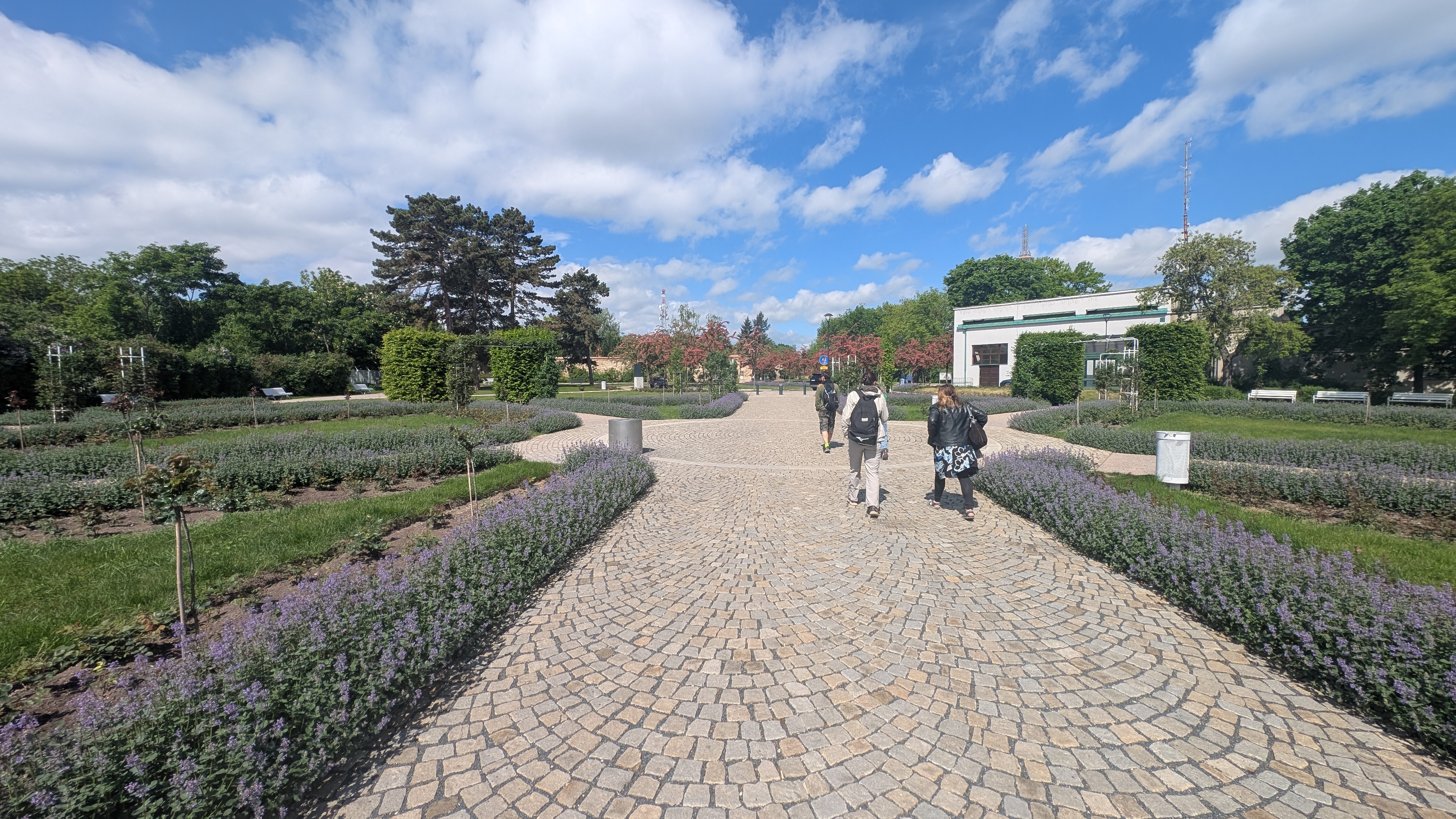 PXL_20250504_091257717.RAW-01.MP.COVER.jpg