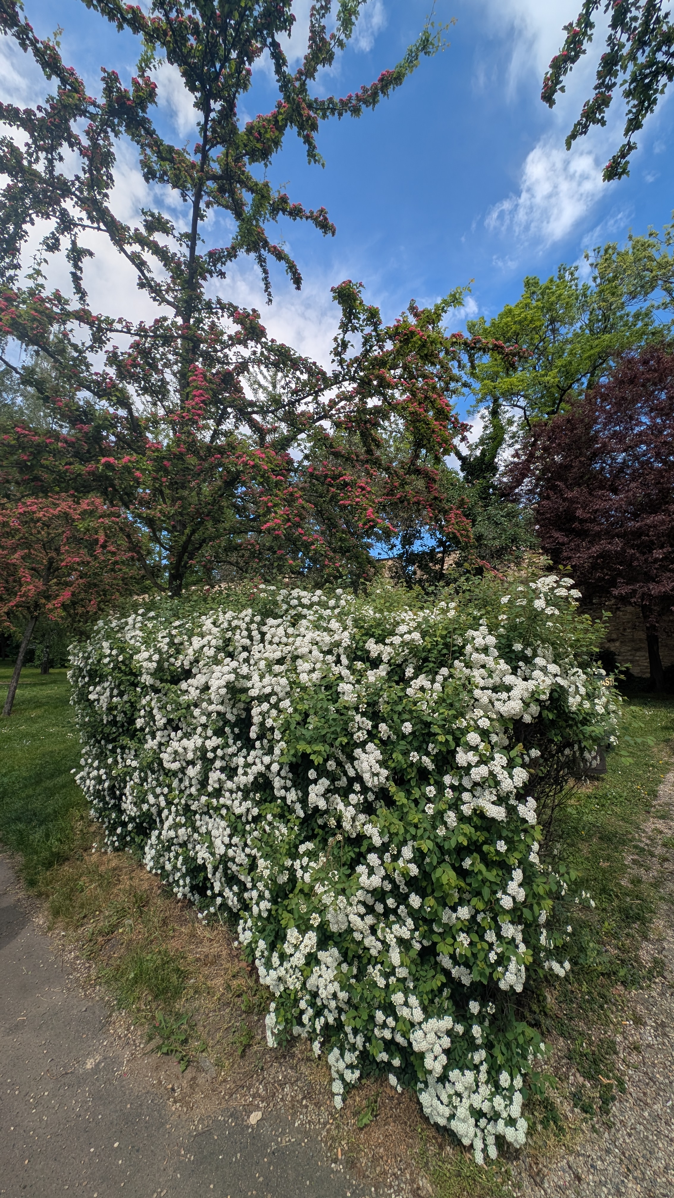 PXL_20250504_100511059.RAW-01.MP.COVER.jpg
